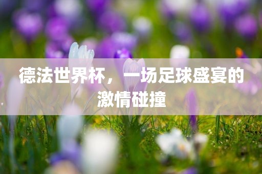 德法世界杯，一场足球盛宴的激情碰撞
