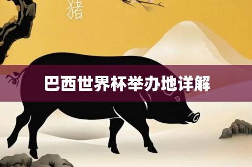 巴西世界杯举办地详解
