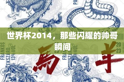 世界杯2014，那些闪耀的帅哥瞬间