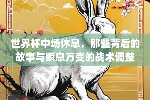 世界杯中场休息，那些背后的故事与瞬息万变的战术调整