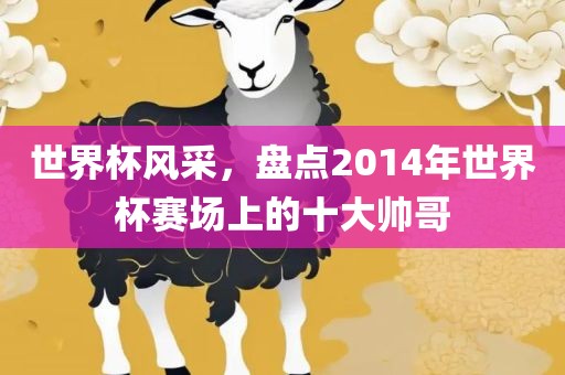 世界杯风采，盘点2014年世界杯赛场上的十大帅哥