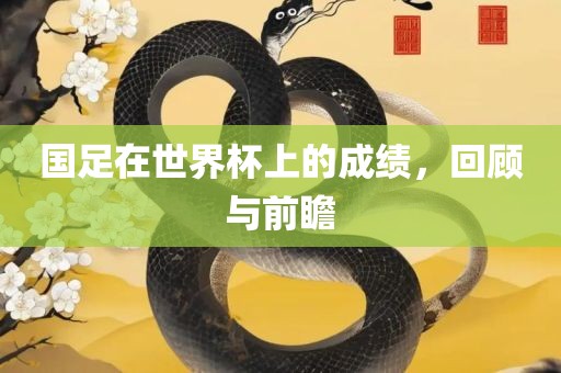 国足在世界杯上的成绩，回顾与前瞻