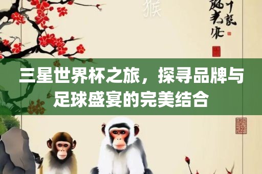 三星世界杯之旅，探寻品牌与足球盛宴的完美结合