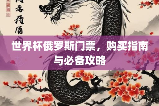 世界杯俄罗斯门票，购买指南与必备攻略