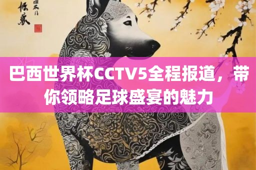 巴西世界杯CCTV5全程报道，带你领略足球盛宴的魅力