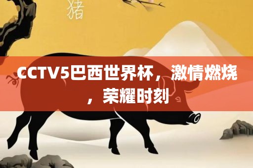 CCTV5巴西世界杯，激情燃烧，荣耀时刻