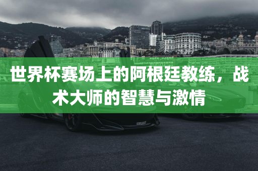 世界杯赛场上的阿根廷教练，战术大师的智慧与激情