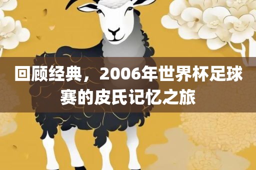 回顾经典，2006年世界杯足球赛的皮氏记忆之旅