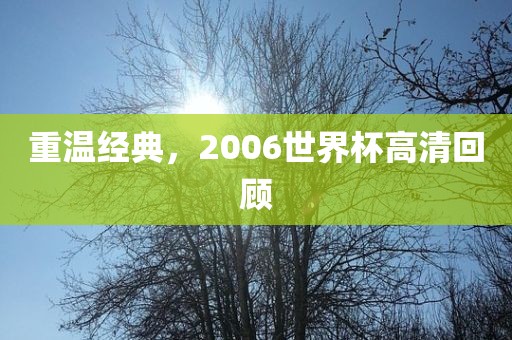 重温经典，2006世界杯高清回顾
