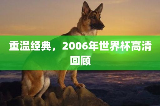 重温经典，2006年世界杯高清回顾