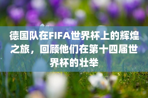 德国队在FIFA世界杯上的辉煌之旅，回顾他们在第十四届世界杯的壮举