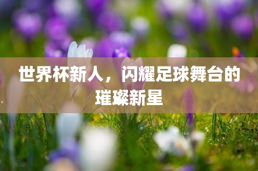 世界杯新人，闪耀足球舞台的璀璨新星