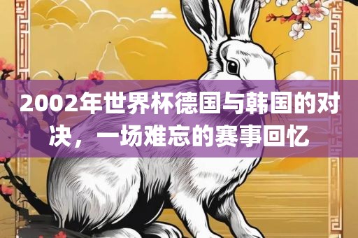 2002年世界杯德国与韩国的对决，一场难忘的赛事回忆