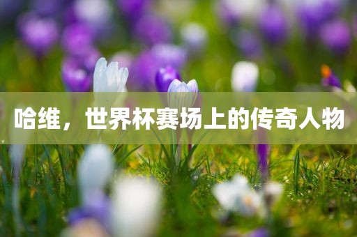 哈维，世界杯赛场上的传奇人物