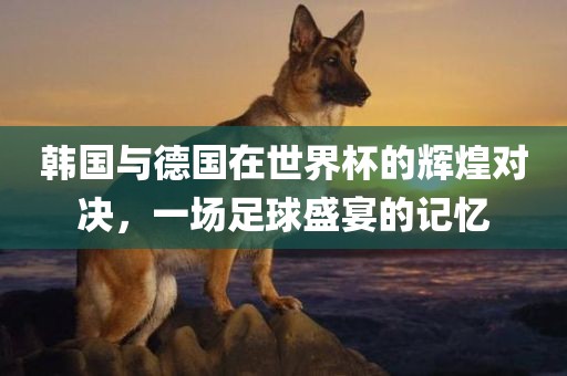 韩国与德国在世界杯的辉煌对眉山市正发家政服务有限公司决，一场足球盛宴的记忆