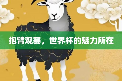 抱臂观赛，世界杯的魅力所在