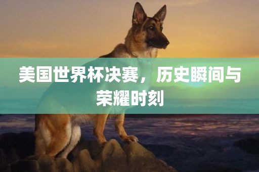 美国世界杯决赛，历史瞬间与荣耀时刻