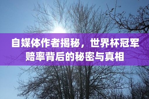 自媒体作者揭秘，世界杯冠军赔率背后的秘密与真相