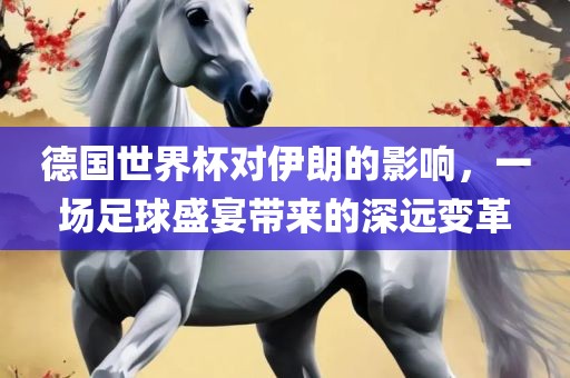 德国世界杯对伊朗的影响，一场足球盛宴带来的深远变革