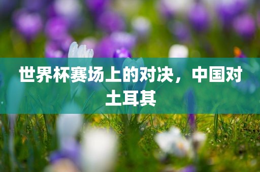 世界杯赛场上的对决，中国对土耳其