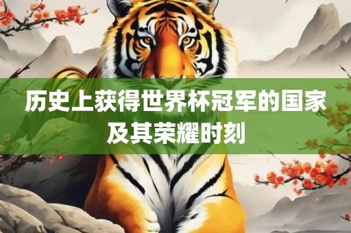 历史上获得世界杯冠军的国家及其荣耀时刻