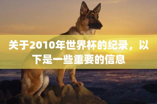 关于2010年世界杯的纪录，以下是一些重要的信息