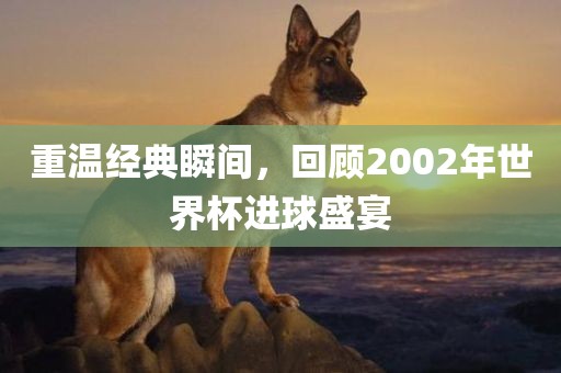 重温经典瞬间，回顾2002年世界杯进球盛宴