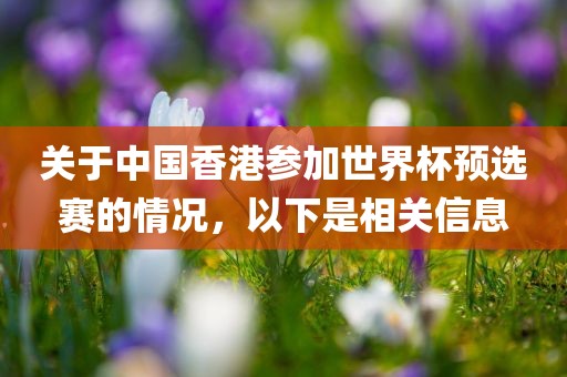 关于中国香港参加世界杯预选赛的情况，以下是相关信息