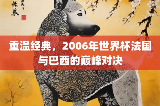 重温经典，2006年世界杯法国与巴西的巅峰对决