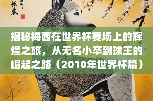 揭秘梅西在世界杯赛场上的辉煌之旅，从无名小卒到球王的崛起之路（2010年世界杯篇）
