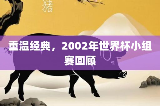 重温经典，2002年世界杯小组赛回顾