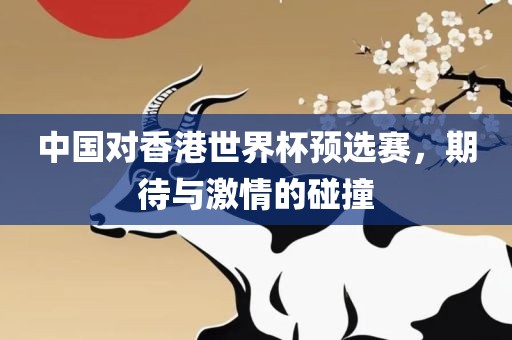 中国对香港世界杯预选赛，期待与激情的碰撞