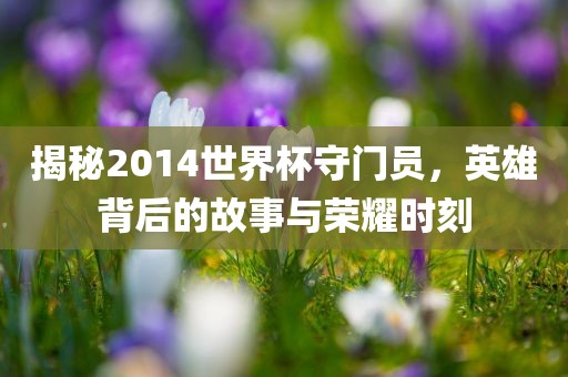 揭秘2014世界杯守门员，英雄背后的故事与荣耀时刻