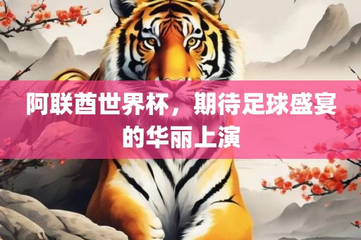 阿联酋世界杯，期待足球盛宴的华丽上演