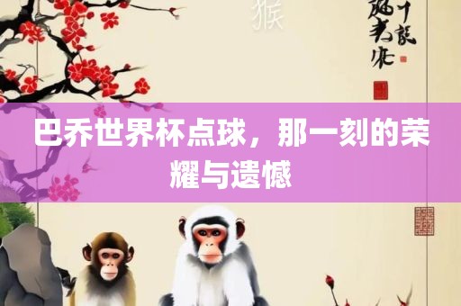 巴乔世界杯点球，那一刻的荣耀与遗憾