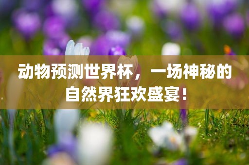 动物预测世界杯，一场神秘的自然界狂欢盛宴！