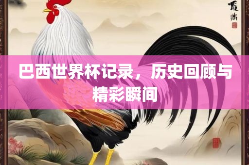巴西世界杯记录，历史回顾与精彩瞬间