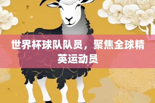 世界杯球队队员，聚焦全球精英运动员