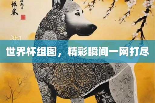 世界杯组图，精彩瞬间一网打尽