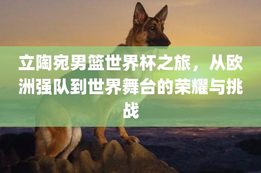 立陶宛男篮世界杯之旅，从欧洲强队到世界舞台的荣耀与挑战
