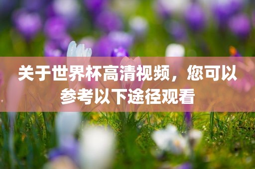 关于世界杯高清视频，您可以参考以下途径观看