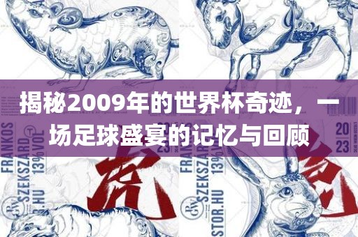 揭秘2009年的世界杯奇迹，一场足球盛宴的记忆与回顾