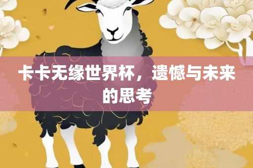 卡卡无缘世界杯，遗憾与未来的思考