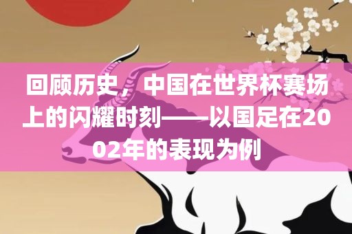回顾历史，中国在世界杯赛场上的闪耀时刻——以国足在2002年的表现为例