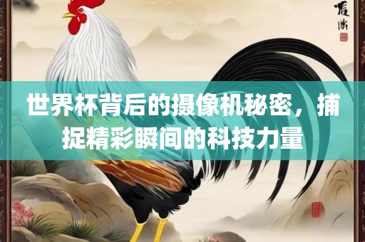 世界杯背后的摄像机秘密，捕捉精彩瞬间的科技力量