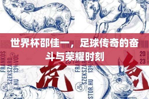 世界杯邵佳一，足球传奇的奋斗与荣耀时刻