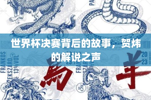 世界杯决赛背后的故事，贺炜的解说之声
