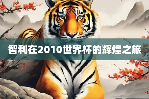 智利在2010世界杯的辉煌之旅