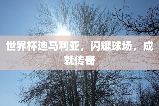 世界杯迪马利亚，闪耀球场，成就传奇