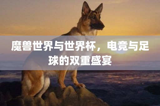 魔兽世界与世界杯，电竞与足球的双重盛宴